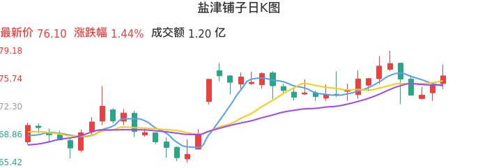整体分析-日K图：盐津铺子股票整体分析报告