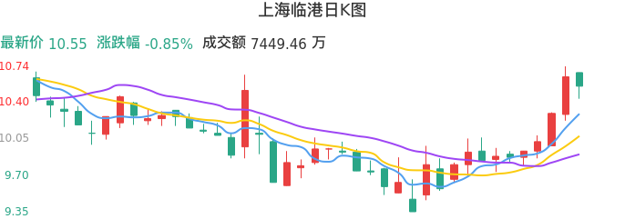 整体分析-日K图：上海临港股票整体分析报告