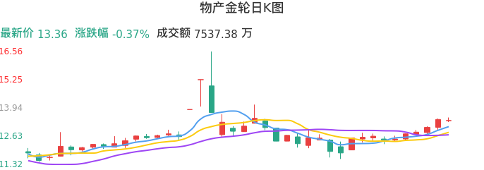 整体分析-日K图：物产金轮股票整体分析报告