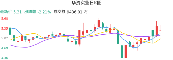 整体分析-日K图：华资实业股票整体分析报告