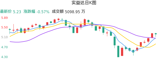整体分析-日K图：实益达股票整体分析报告
