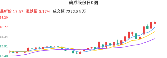 整体分析-日K图：确成股份股票整体分析报告
