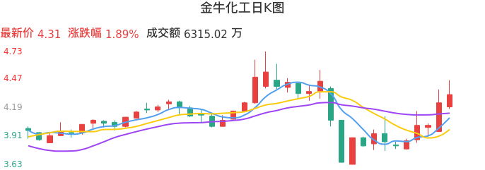 整体分析-日K图:金牛化工股票整体分析报告