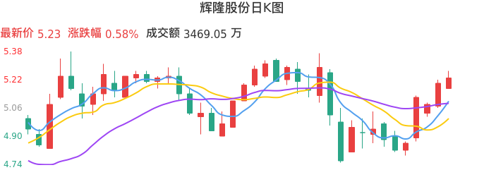 整体分析-日K图：辉隆股份股票整体分析报告