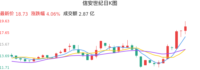 整体分析-日K图：信安世纪股票整体分析报告