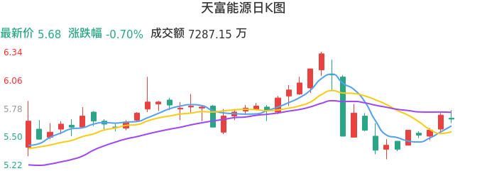 整体分析-日K图:天富能源股票整体分析报告