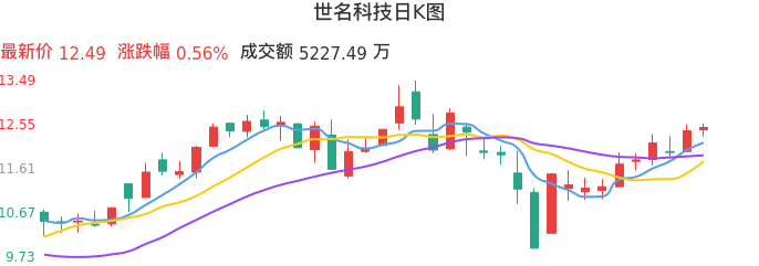 整体分析-日K图：世名科技股票整体分析报告