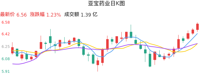 整体分析-日K图：亚宝药业股票整体分析报告