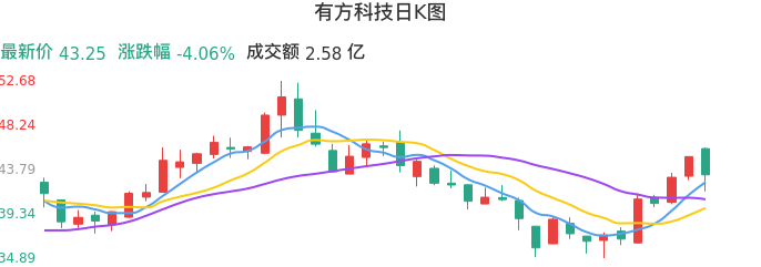 整体分析-日K图：有方科技股票整体分析报告