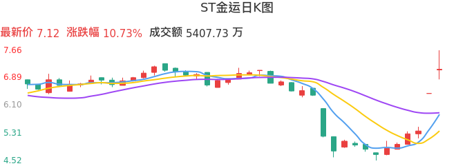 整体分析-日K图：ST金运股票整体分析报告