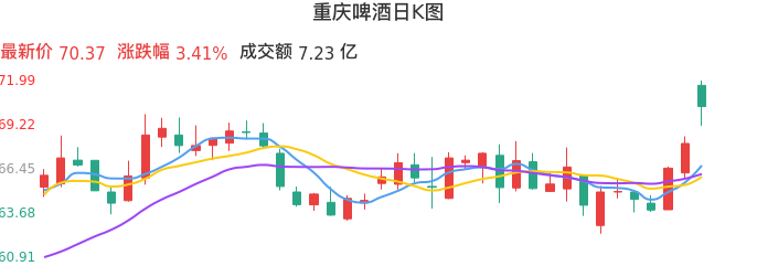 整体分析-日K图：重庆啤酒股票整体分析报告