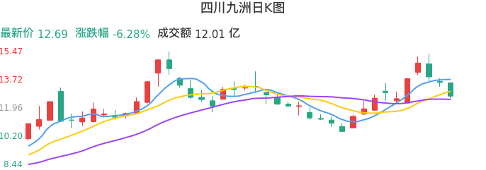 整体分析-日K图：四川九洲股票整体分析报告