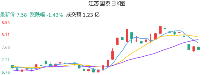 整体分析-日K图：江苏国泰股票整体分析报告