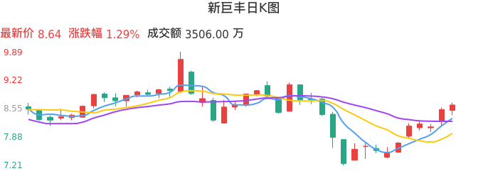 整体分析-日K图：新巨丰股票整体分析报告
