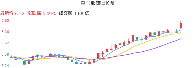 整体分析-日K图：森马服饰股票整体分析报告