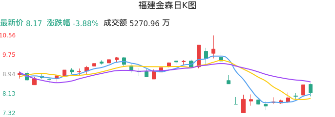 整体分析-日K图：福建金森股票整体分析报告