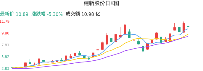 整体分析-日K图：建新股份股票整体分析报告