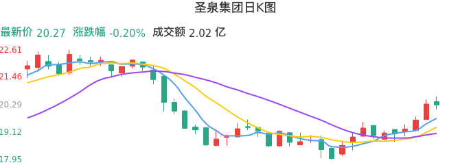 整体分析-日K图：圣泉集团股票整体分析报告