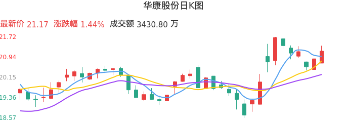 整体分析-日K图：华康股份股票整体分析报告