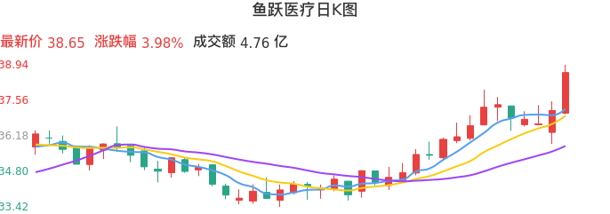 整体分析-日K图:鱼跃医疗股票整体分析报告