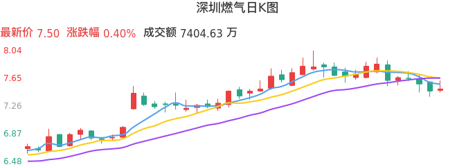 整体分析-日K图：深圳燃气股票整体分析报告