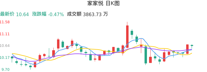 整体分析-日K图:家家悦股票整体分析报告