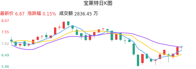 整体分析-日K图：宝莱特股票整体分析报告
