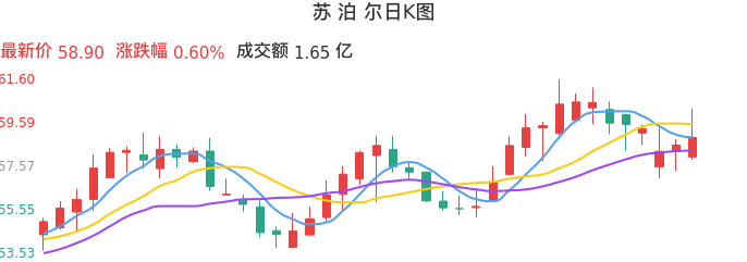 整体分析-日K图：苏泊尔股票整体分析报告