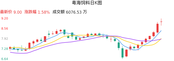 整体分析-日K图：粤海饲料股票整体分析报告