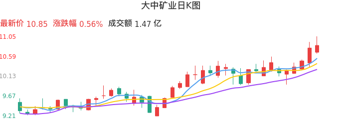 整体分析-日K图：大中矿业股票整体分析报告