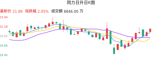 整体分析-日K图：同力日升股票整体分析报告