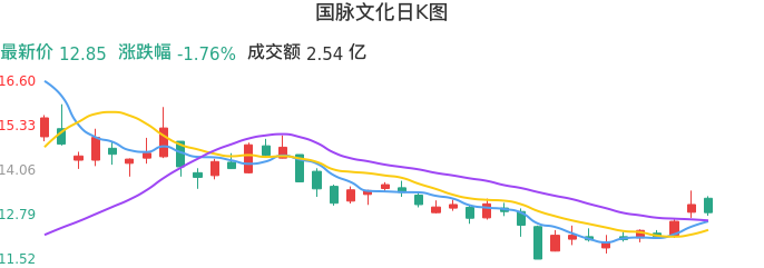整体分析-日K图：国脉文化股票整体分析报告