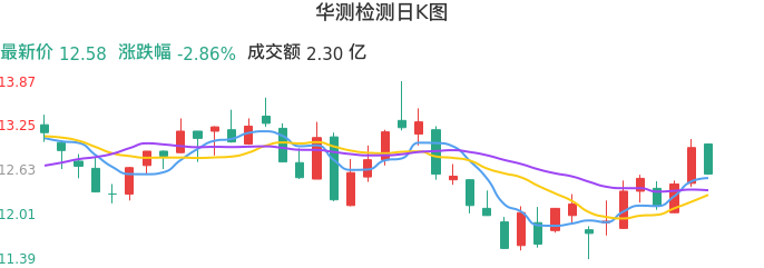 整体分析-日K图：华测检测股票整体分析报告