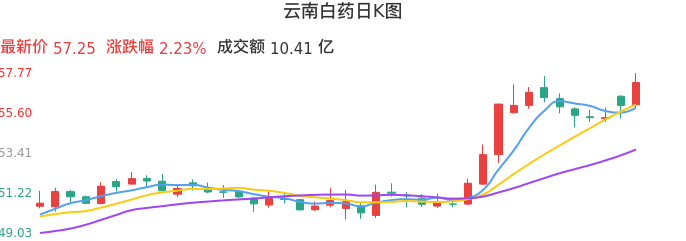 整体分析-日K图：云南白药股票整体分析报告