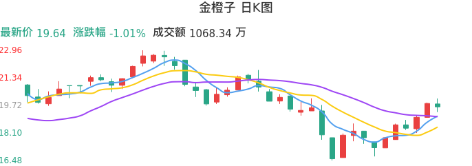 整体分析-日K图：金橙子股票整体分析报告