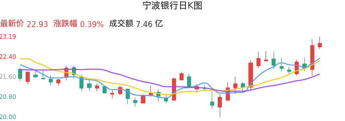 整体分析-日K图：宁波银行股票整体分析报告