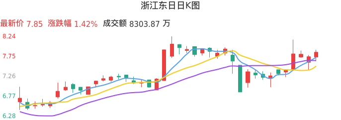 整体分析-日K图:浙江东日股票整体分析报告