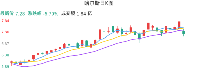 整体分析-日K图：哈尔斯股票整体分析报告