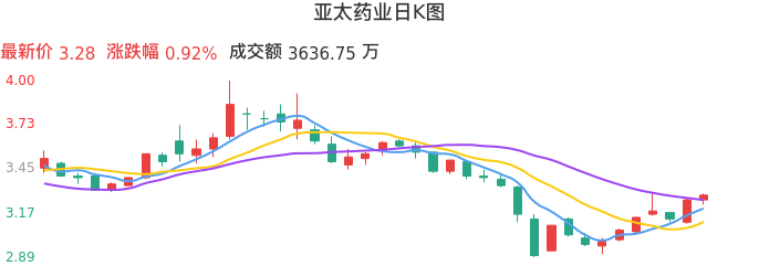 整体分析-日K图:亚太药业股票整体分析报告