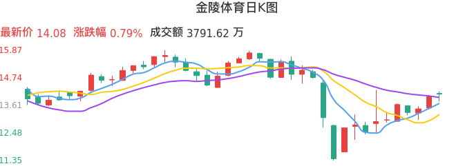 整体分析-日K图：金陵体育股票整体分析报告