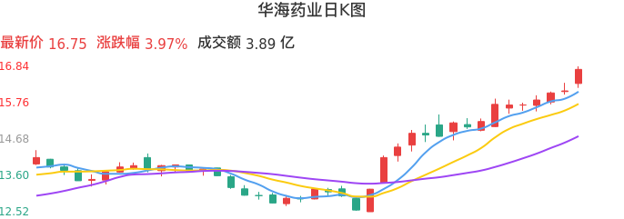 整体分析-日K图：华海药业股票整体分析报告