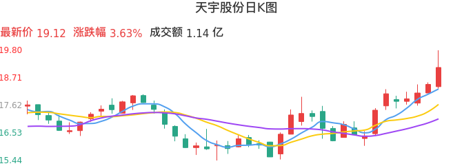 整体分析-日K图：天宇股份股票整体分析报告