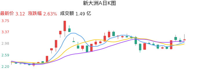 整体分析-日K图：新大洲A股票整体分析报告