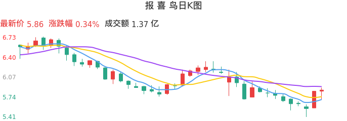整体分析-日K图:报喜鸟股票整体分析报告