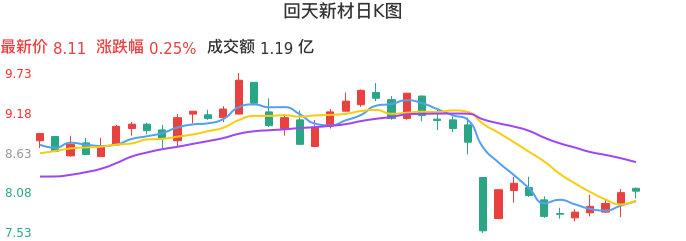 整体分析-日K图：回天新材股票整体分析报告