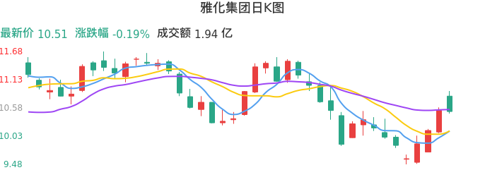 整体分析-日K图：雅化集团股票整体分析报告