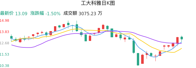 整体分析-日K图：工大科雅股票整体分析报告