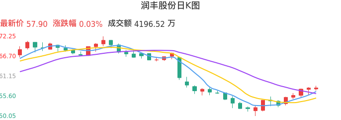 整体分析-日K图：润丰股份股票整体分析报告