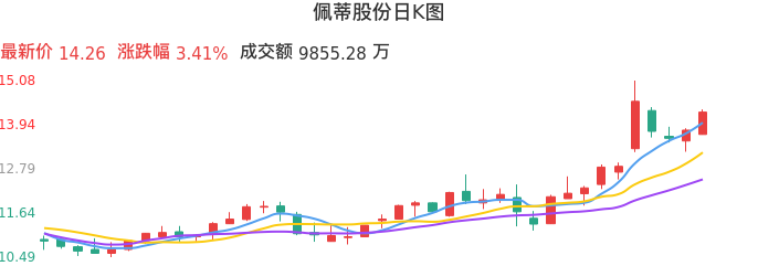整体分析-日K图：佩蒂股份股票整体分析报告