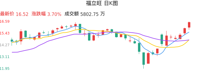 整体分析-日K图：福立旺股票整体分析报告